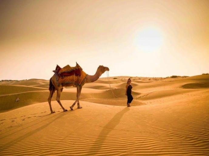 Golden Sandstone Hotel Desert Safari Camp Jaisalmer Buitenkant foto
